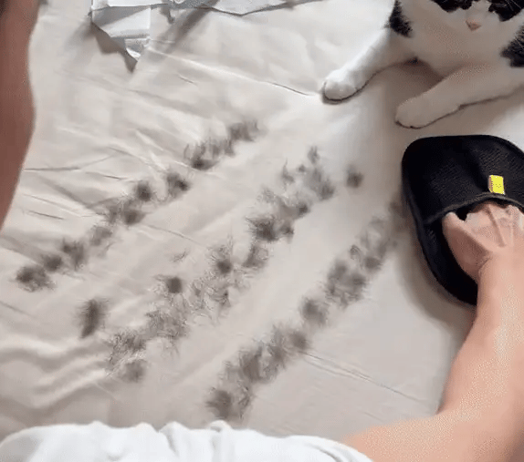 Pet Hair Remover Gloves™